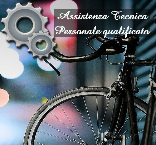 assistenza tecnica biciclette 