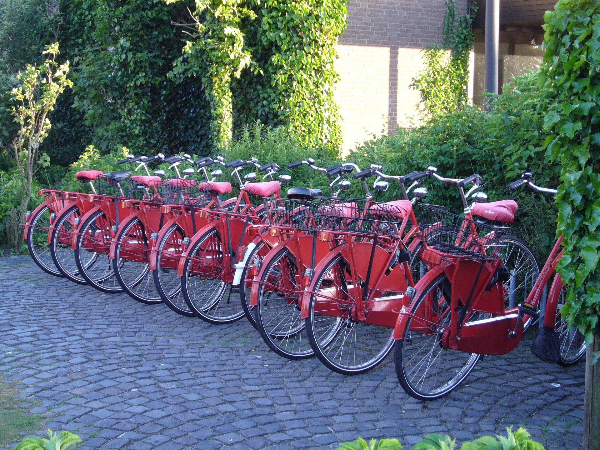 noleggio biciclette favignana