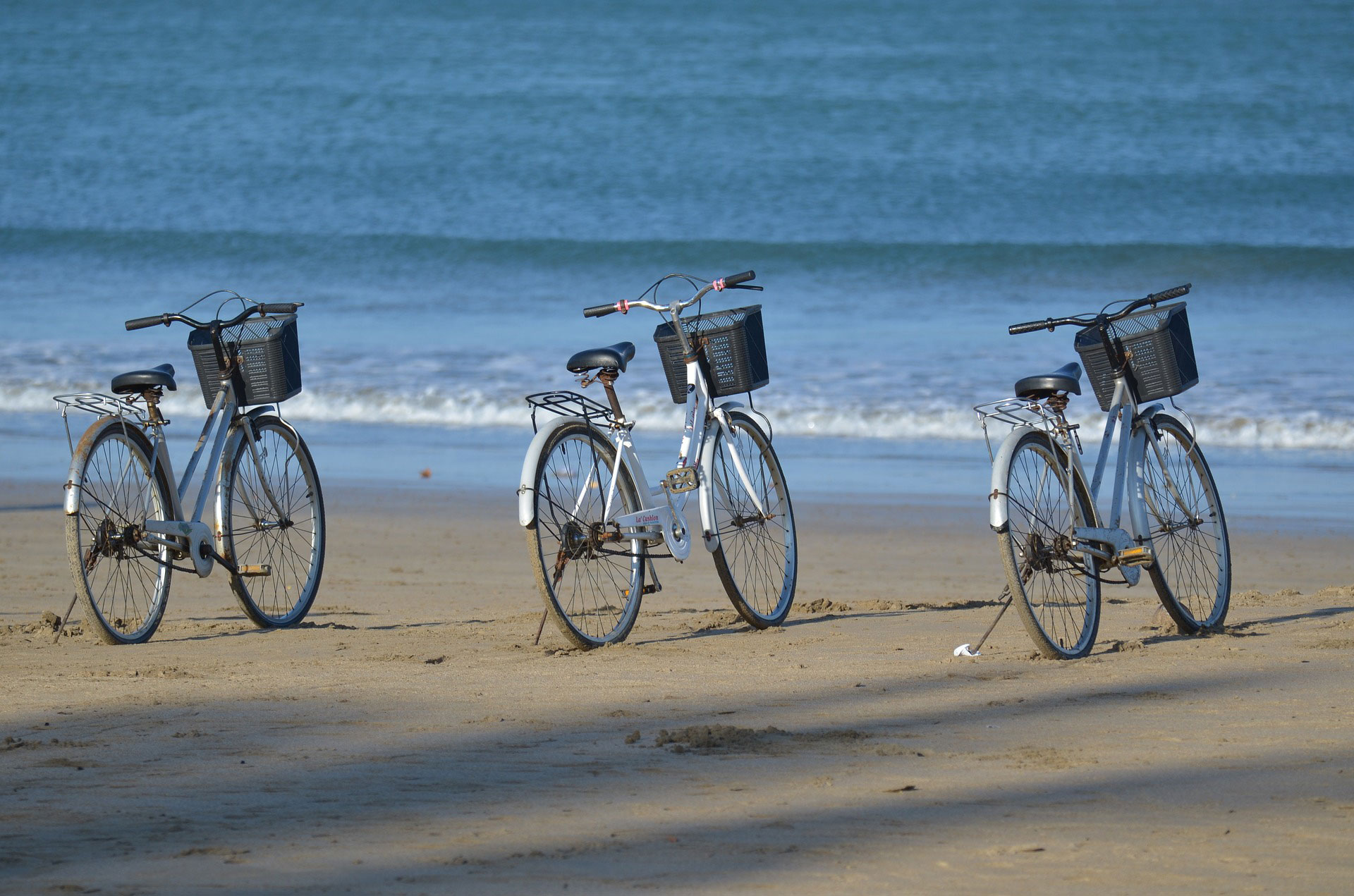 noleggio biciclette